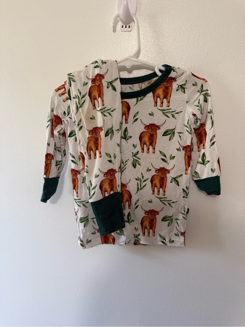 Kids Long Sleeve Pajama Set with Highland Cattle Print - White & Green